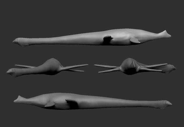 Thalassomedon Model Views