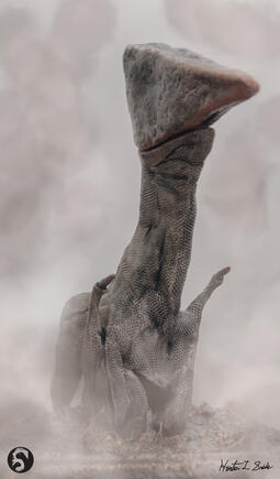 "Pterror Pterosaur" (Clay Sculpture)