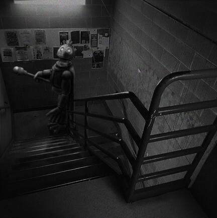 "Prince the Peacock Analog shot 2"